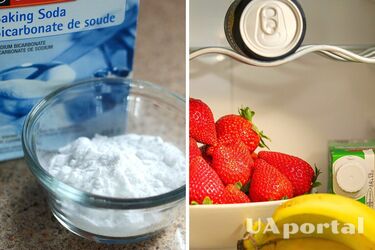 Experts explained how to quickly get rid of unpleasant odors in the refrigerator