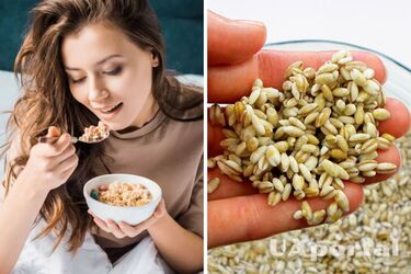 Яка каша містить найбільше колагену