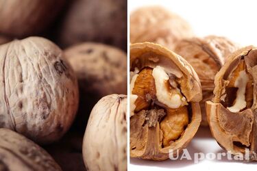 Фахівці пояснили, де треба зберігати горіхи, щоб вони не псувалися