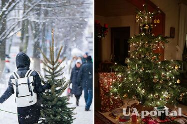 Фахівці назвали п'ять порад, як зберегти ялинку свіжою до Нового року