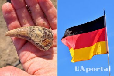В Германии обнаружили тысячи костей пещерных медведей возрастом 40 тысяч лет до нашей эры (фото)