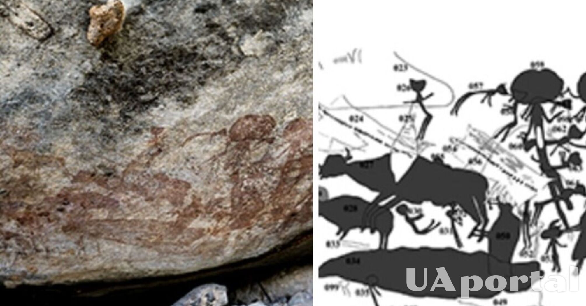 Rock paintings with images of creepy creatures 40 thousand years old discovered in Tanzania
