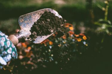 Як звичний інструмент має таке важливе значення