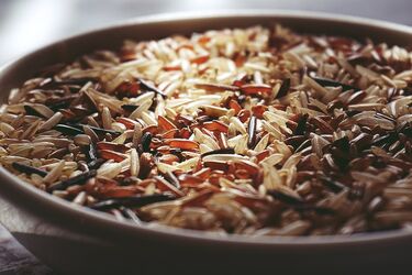 How to attract luck and attract money in the house with the help of rice: the secrets of feng shui