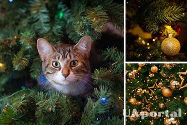You will be haunted by problems: what Christmas decorations should not hang on the tree