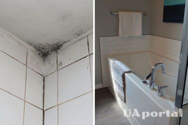 Експерти розповіли, як легко позбутися плісняви у ванній всього за 10 хвилин