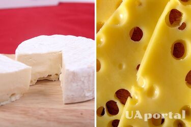 Фахівці розповіли, де тримати сир, щоб він залишався свіжим три місяці