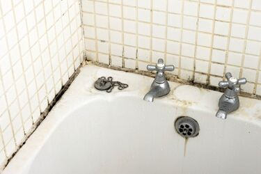 Чорна пліснява