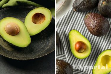 Буде як свіжий: як заморозити авокадо, щоб не зіпсувати смак