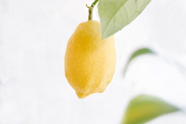 Лимонная кожура