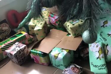 Boy finds deadly snake under Christmas tree in Australia: video