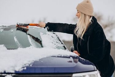 Як очистити лобове скло автомобіля від дощу та льоду за допомогою яблука