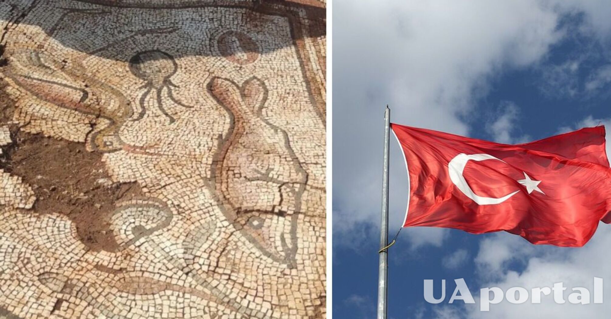 Ancient Roman mosaic with sea creatures discovered in Turkey (photo)