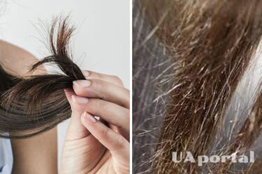 Як боротись з посіченим волоссям: ефективний метод від трихологів