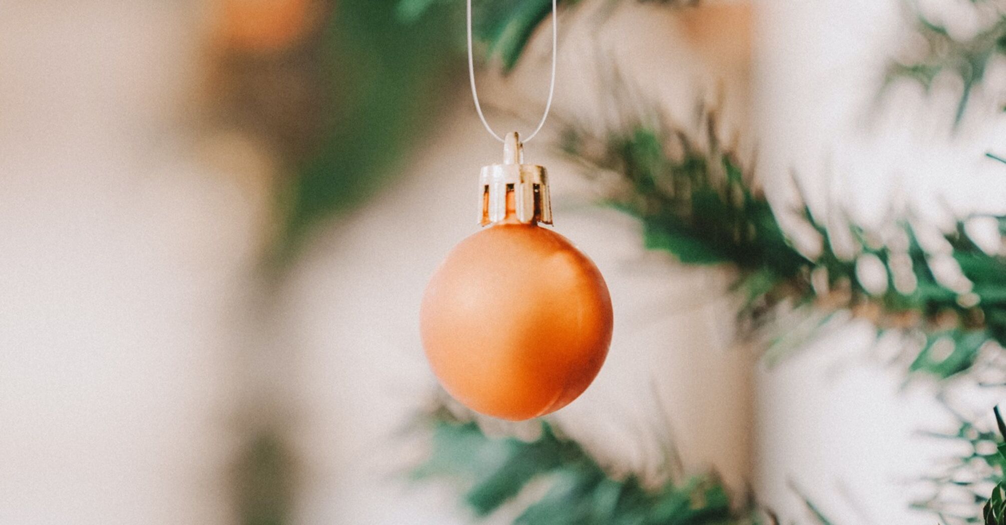 Как выбрать идеальную новогоднюю елку: Три совета