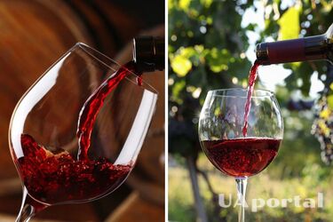 How to choose wine for a party to please everyone: sommelier tips