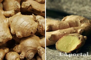Корисні властивості імбиру