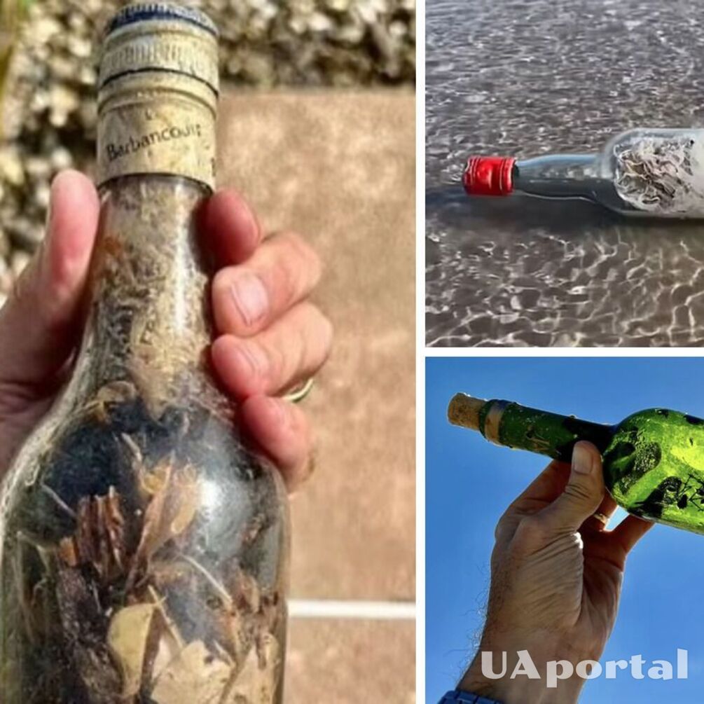 На побережье Мексиканского залива находят 'ведьминские бутылки': почему их опасно трогать (видео)