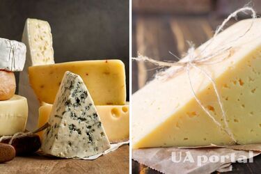 Де в холодильнику зберігати сир, щоб не псувався: ви будете здивовані