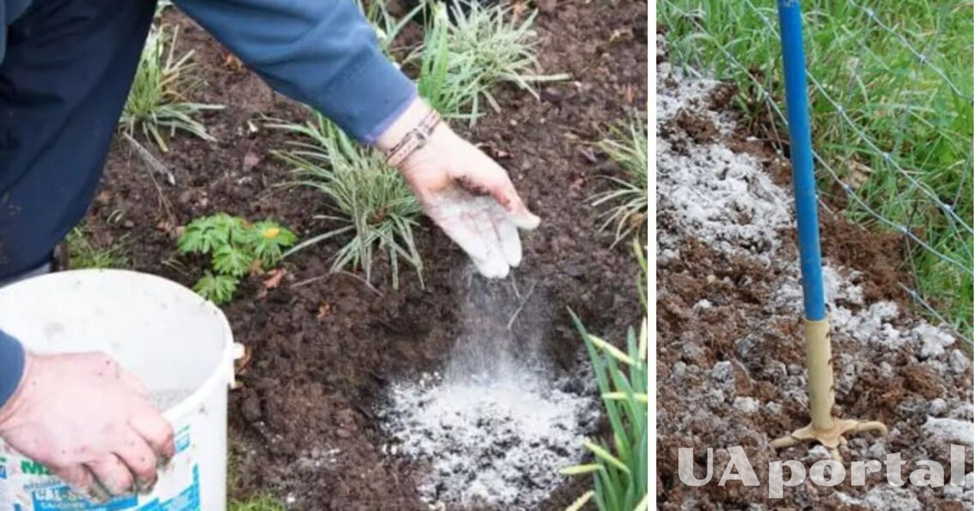 Нужно ли удобрять землю пеплом зимой