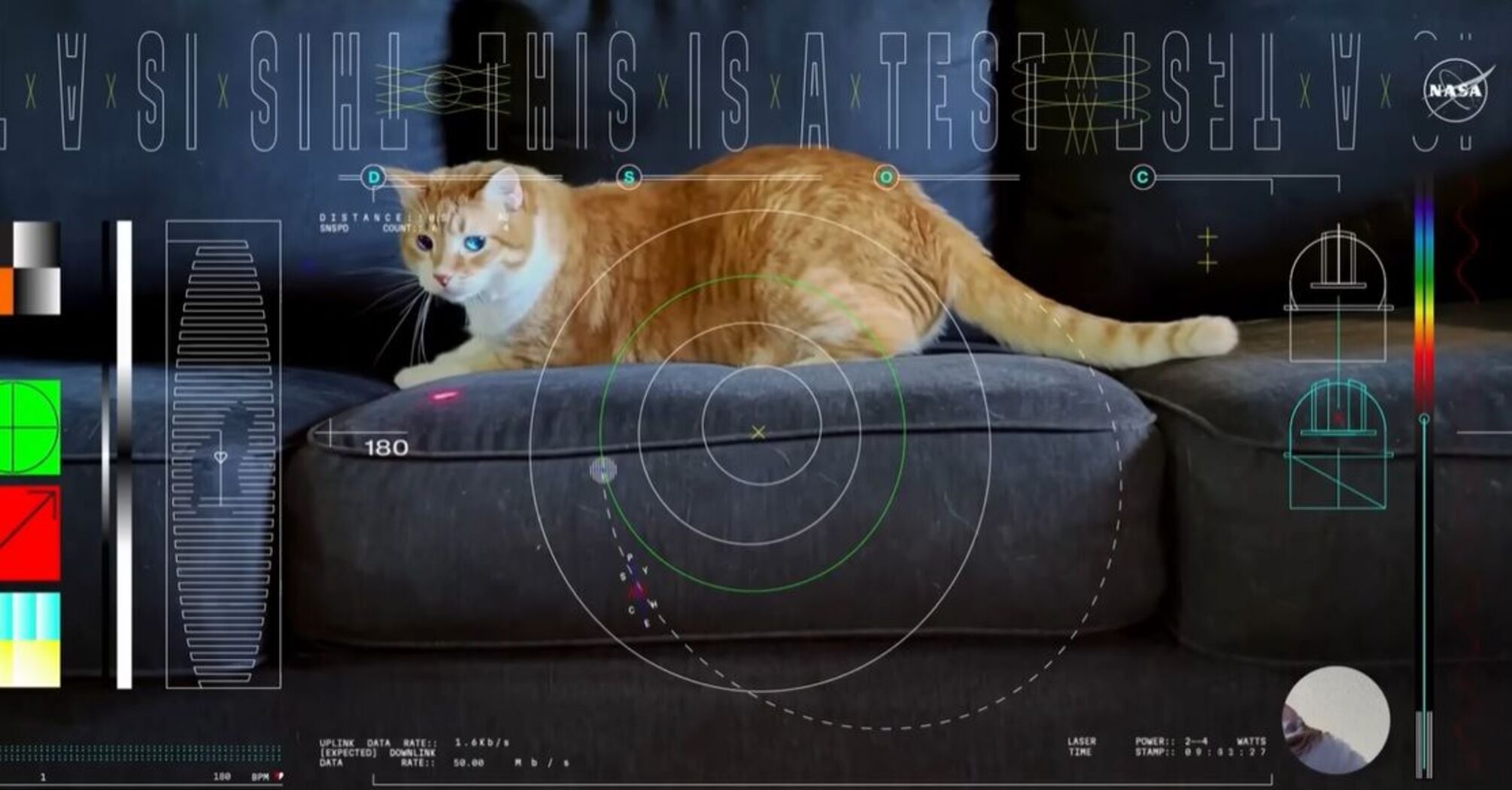 NASA вперше з космосу передала на Землю відео з котом: використали лазер 