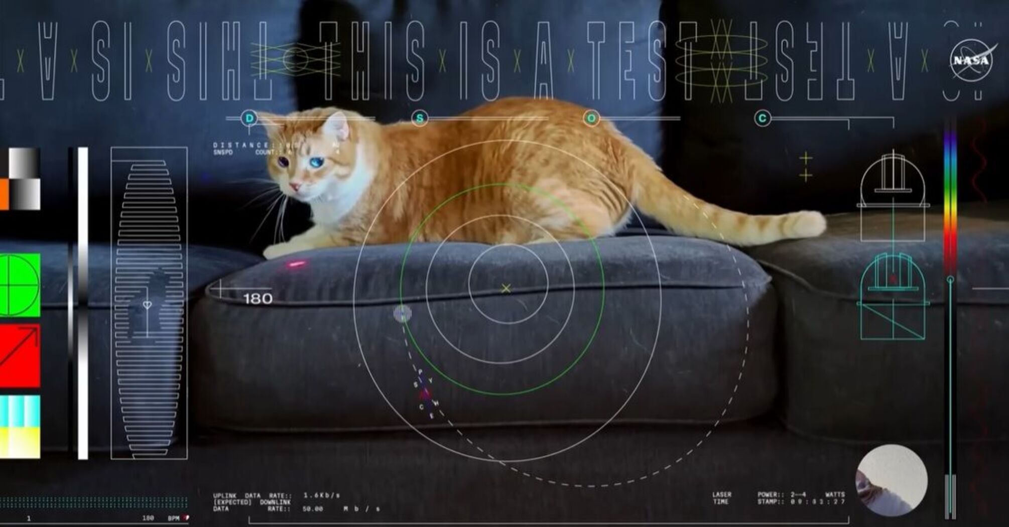 NASA впервые из космоса передала на Землю видео с котом: использовали лазер
