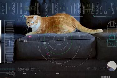 NASA вперше з космосу передала на Землю відео з котом: використали лазер