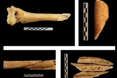 Without flesh and with broken bones: a gruesome 6000-year-old ritual burial site found in Spain