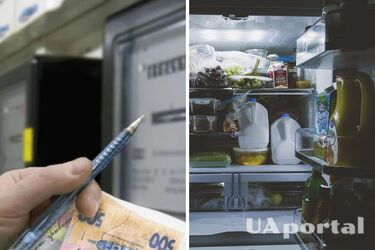 Experts explain how cleaning the refrigerator can help save energy