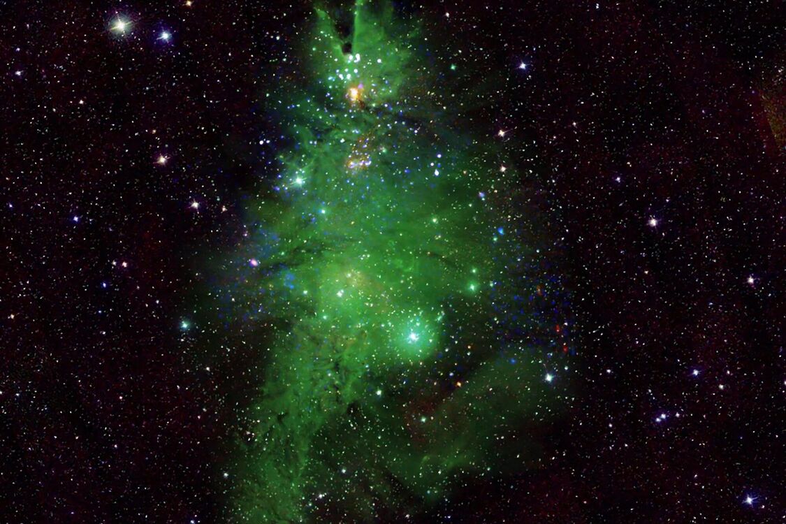 Рождественскую елку заметили в космосе: в NASA показали скопление звезд (фото и видео)