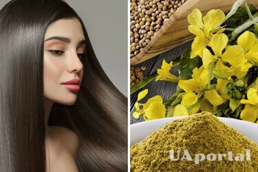 Your hair will look fabulous: a mustard mask recipe for shiny curls