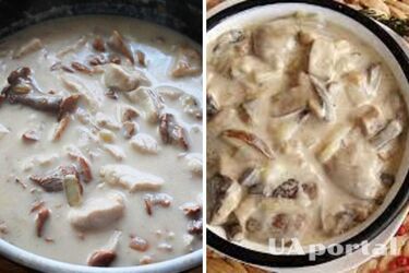 Идеально к рождественскому столу: рецепт грибной мачанки