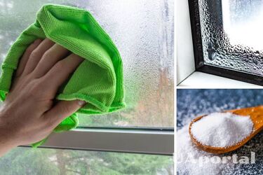 Salt will help: how to remove excess moisture from the house