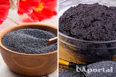 Как подготовить мак для кутьи, чтобы был вкусным: советы хозяек