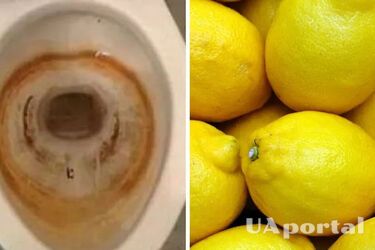 Експерти назвали засіб, який змусить вапняний наліт у туалеті 'зникнути на очах'