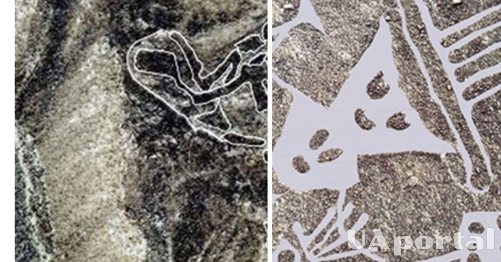 Geoglyphs of cats and humanoid figures from 30 BC discovered in Peru