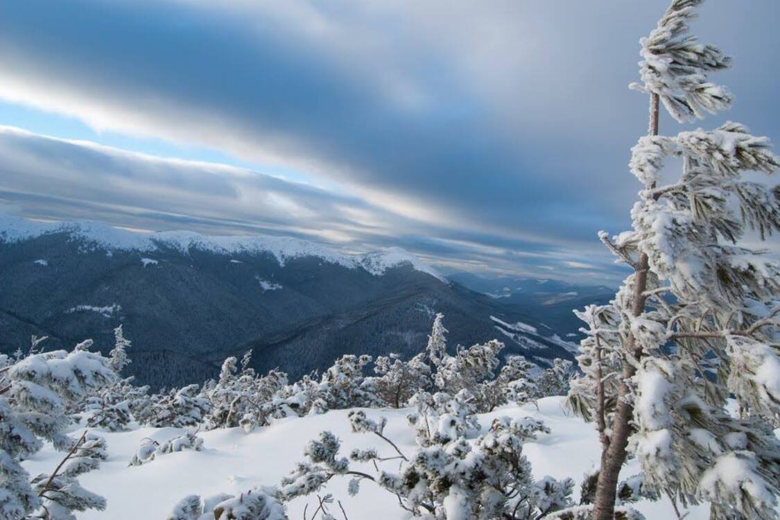 ТОП 5 проверенных мест в Карпатах. Локации для лучшего зимнего отдыха