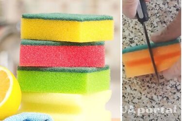 Зачем разрезать пополам губку для мытья посуды