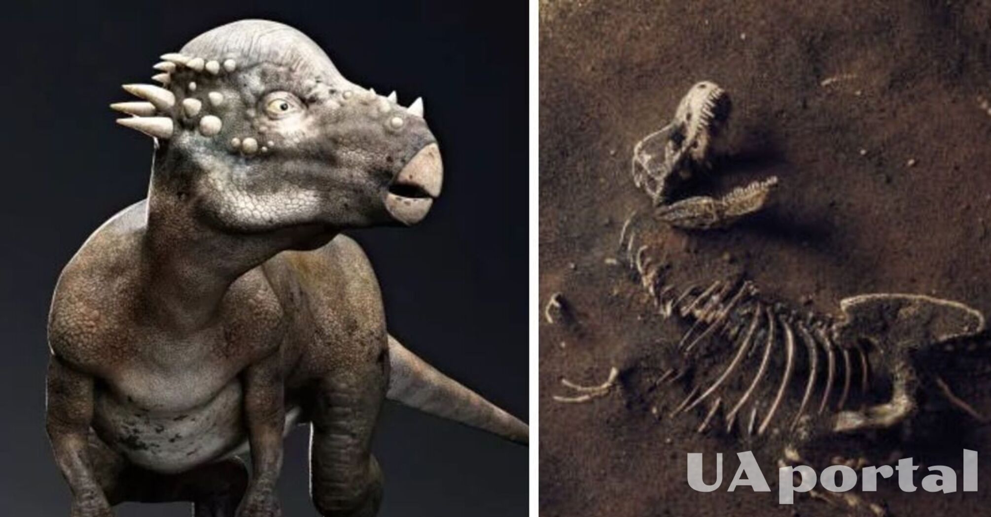 В Северной Америке найдены два новых вида ранее неизвестных науке динозавров