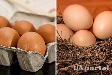 Яйца будут свежими 60 дней: эксперты поделились секретом