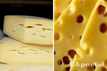 Не загортайте у плівку: Експерти розповіли, як зберегти сир свіжим та смачним довше