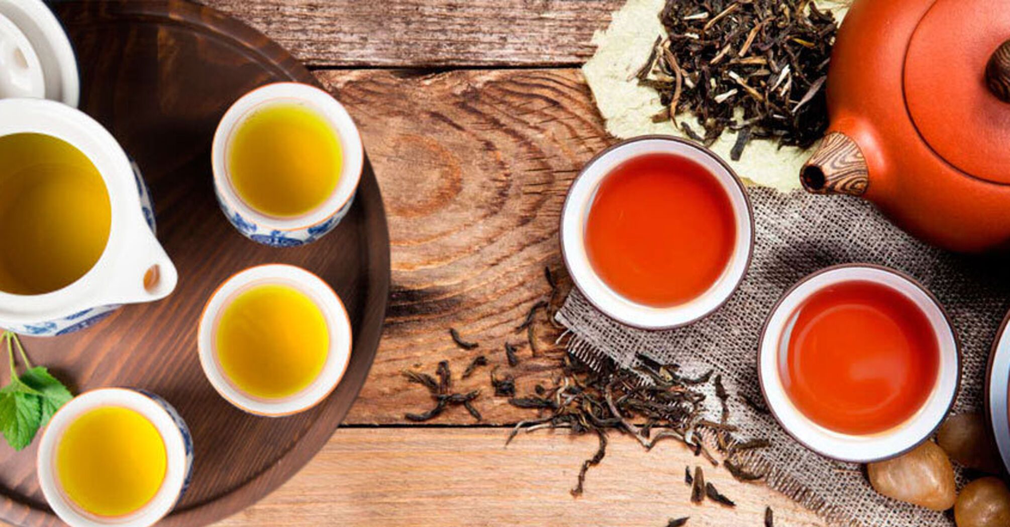 Green or black? Which type of tea is better for hypertensive and hypotensive patients