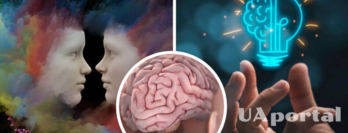 Is there a difference between male and female brains: a scientific explanation