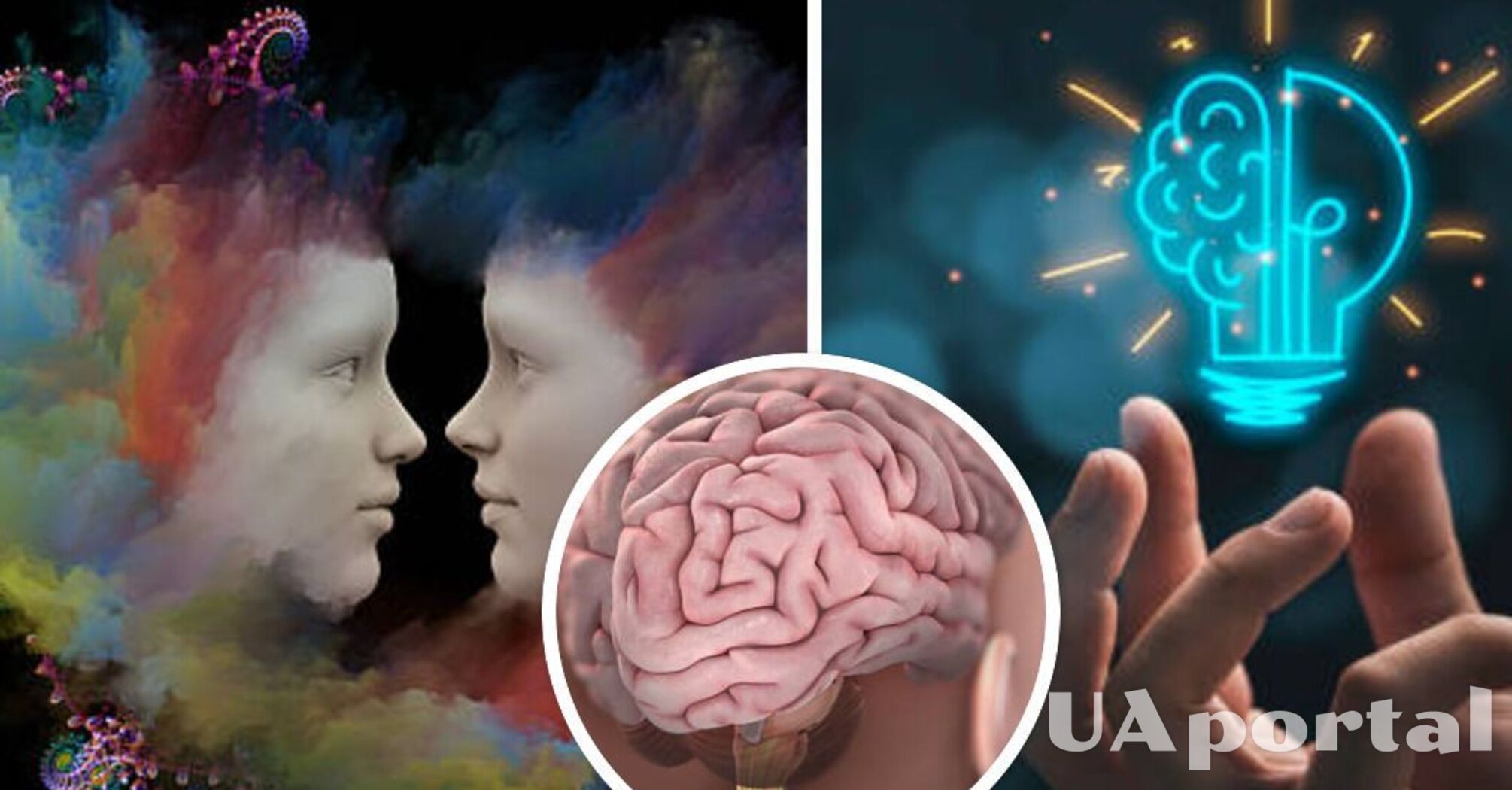 Is there a difference between male and female brains: a scientific explanation