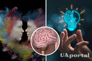 Is there a difference between male and female brains: a scientific explanation