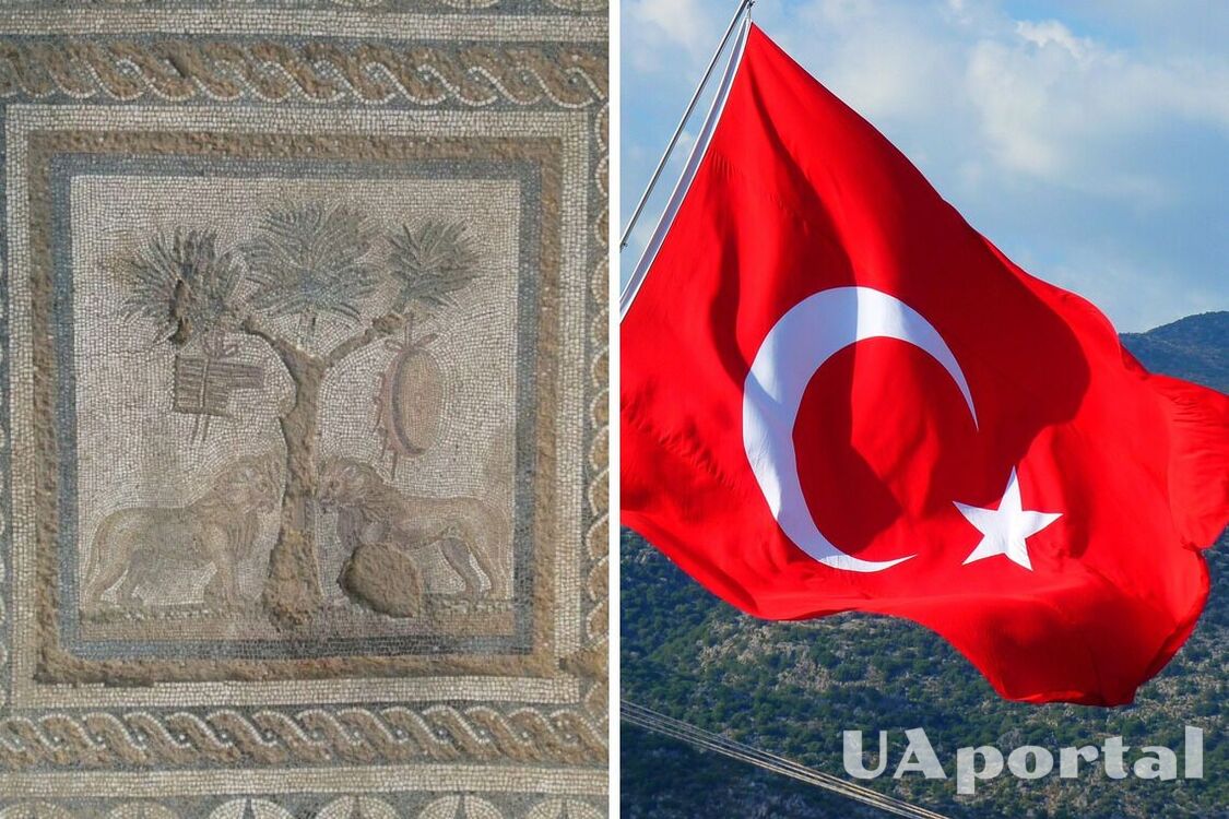 Ancient Roman mosaic with two lions discovered in Turkey (photo)
