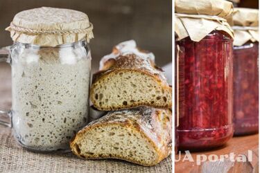 Ученые считают, что ферментация консервированной пищи повлияла на развитие мозга предков человека