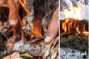 Як розвести вогонь взимку