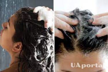 Довше залишиться чистим: як правильно мити жирне волосся