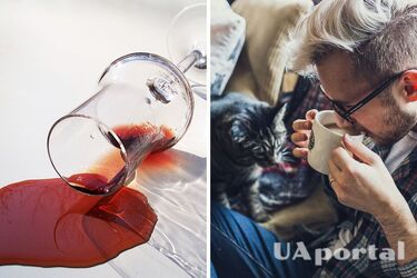 Експерт розповів, як вивести плями після Нового року з дивану